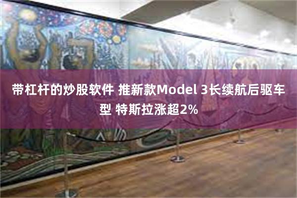 带杠杆的炒股软件 推新款Model 3长续航后驱车型 特斯拉涨超2%