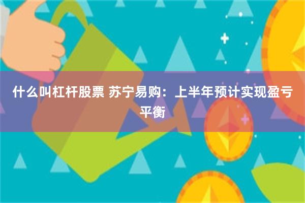 什么叫杠杆股票 苏宁易购：上半年预计实现盈亏平衡