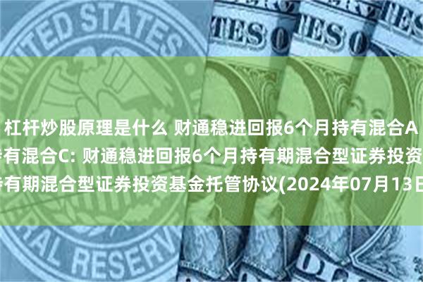 杠杆炒股原理是什么 财通稳进回报6个月持有混合A,财通稳进回报6个月持有混合C: 财通稳进回报6个月持有期混合型证券投资基金托管协议(2024年07月13日公告)