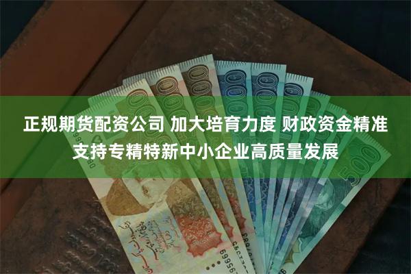 正规期货配资公司 加大培育力度 财政资金精准支持专精特新中小企业高质量发展