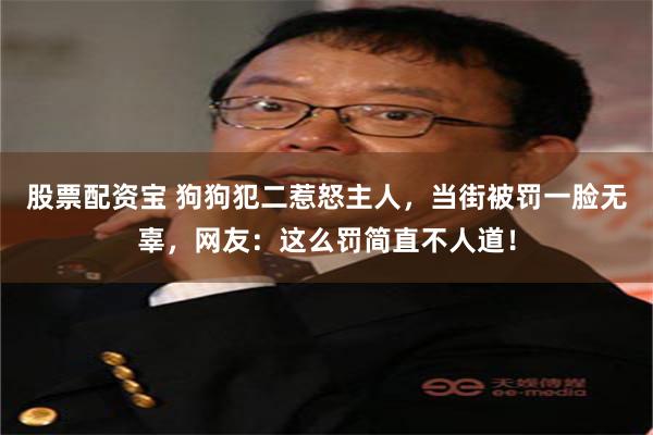 股票配资宝 狗狗犯二惹怒主人，当街被罚一脸无辜，网友：这么罚简直不人道！