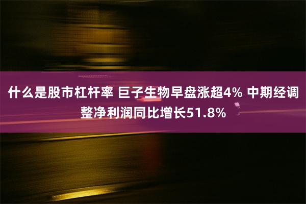 什么是股市杠杆率 巨子生物早盘涨超4% 中期经调整净利润同比增长51.8%