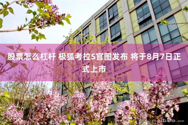 股票怎么杠杆 极狐考拉S官图发布 将于8月7日正式上市