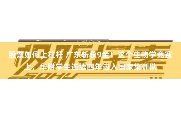 股票如何上杠杆 广东斩获9金！这个生物学竞赛上，华附学生连续四年进入国家集训队