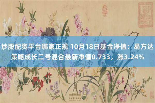 炒股配资平台哪家正规 10月18日基金净值：易方达策略成长二号混合最新净值0.733，涨3.24%