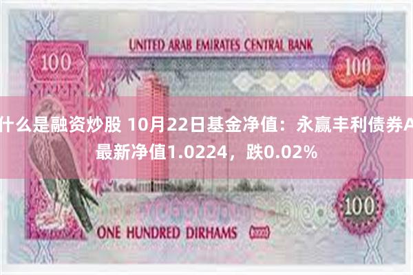 什么是融资炒股 10月22日基金净值：永赢丰利债券A最新净值1.0224，跌0.02%