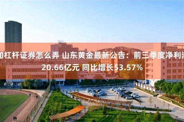 加杠杆证券怎么弄 山东黄金最新公告：前三季度净利润20.66亿元 同比增长53.57%