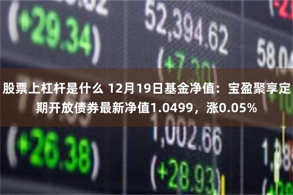 股票上杠杆是什么 12月19日基金净值：宝盈聚享定期开放债券最新净值1.0499，涨0.05%