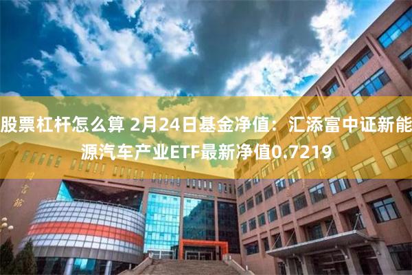 股票杠杆怎么算 2月24日基金净值：汇添富中证新能源汽车产业ETF最新净值0.7219